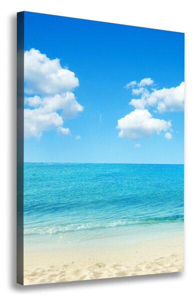 Print pe canvas plaja tropicala