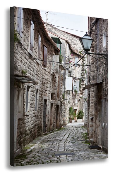 Tablou pe pânză alee Croația