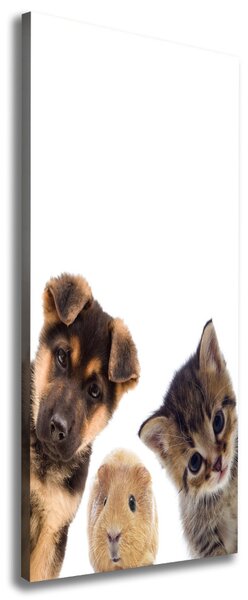 Tablou pe pânză canvas Animale de companie