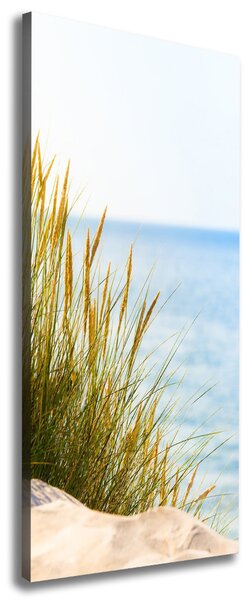 Print pe pânză dune de coastă