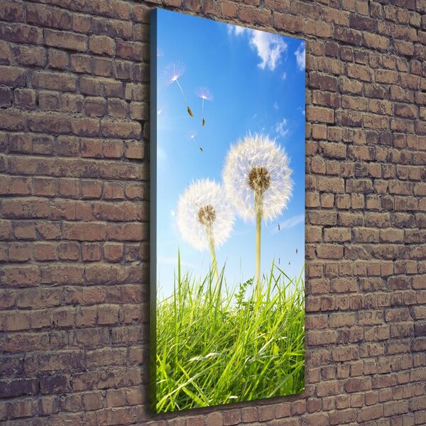 Imprimare tablou canvas Păpădii în lunca