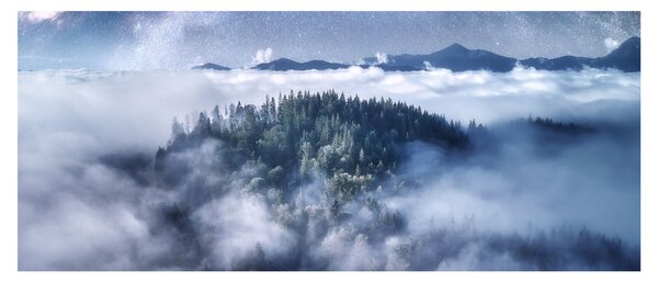 Tablou pădurii în ceață (120x50 cm)