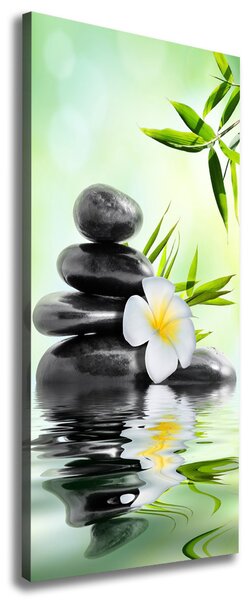 Print pe canvas Bambus