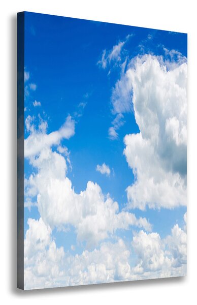 Print pe canvas Nori pe cer