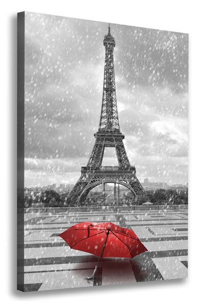 Tablouri tipărite pe pânză Turnul Eiffel din Paris