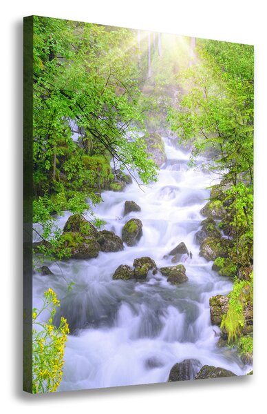 Imprimare tablou canvas pârâu de munte