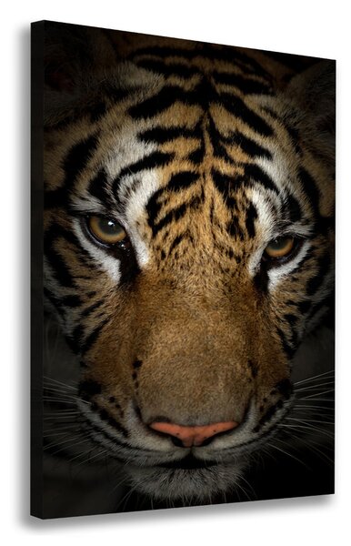 Tablou canvas Tigru