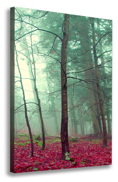 Tablou canvas pădure în toamna