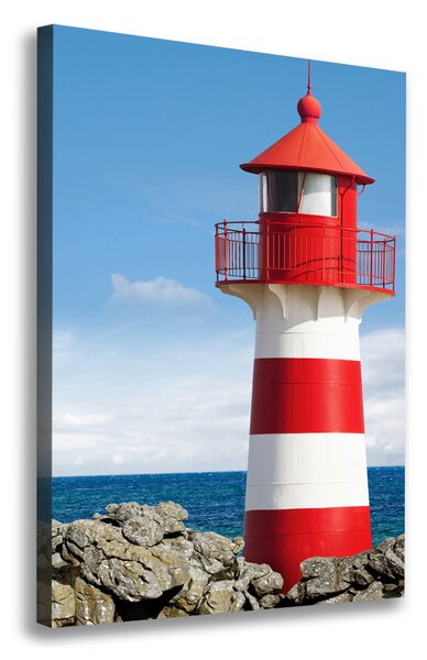Print pe canvas Far