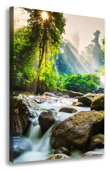 Tablouri tipărite pe pânză Cascada din pădure