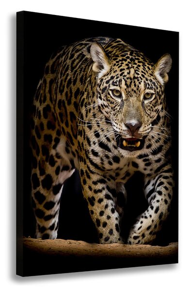 Tablouri tipărite pe pânză Jaguar