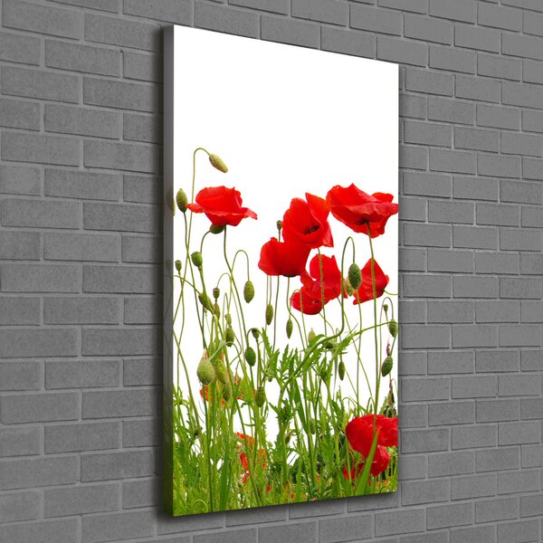 Tablou pe pânză canvas wildflowers maci