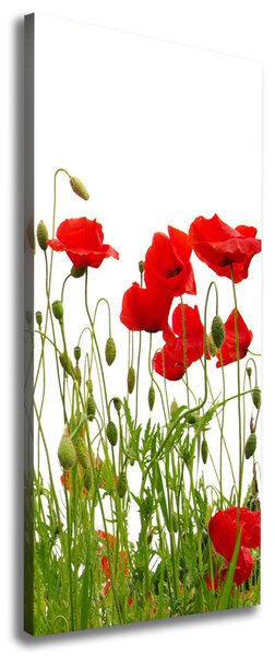 Tablou pe pânză canvas wildflowers maci