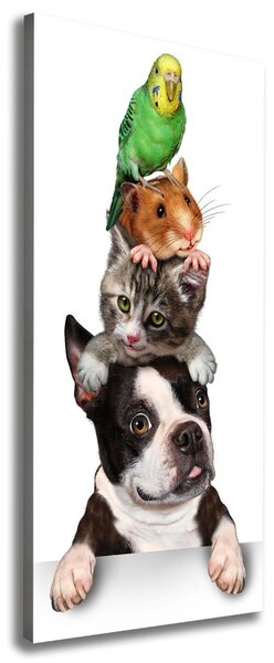 Tablou canvas Animale de companie