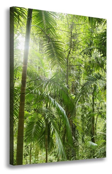 Imprimare tablou canvas pădurea tropicală