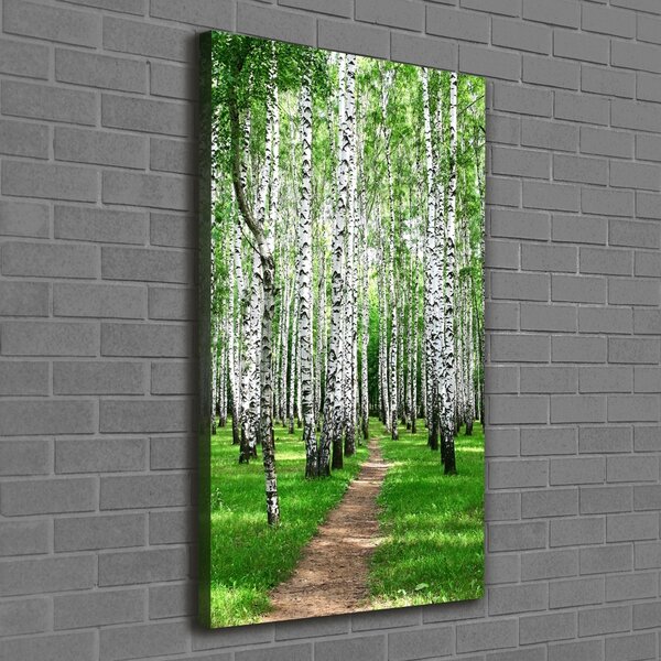 Tablou pe pânză canvas pădurea de mesteacăn