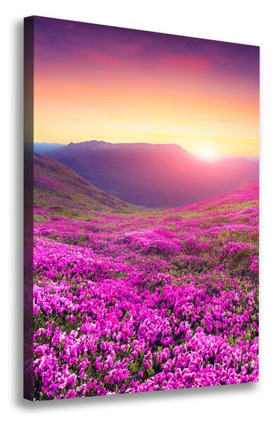 Print pe pânză munte Rhododendron