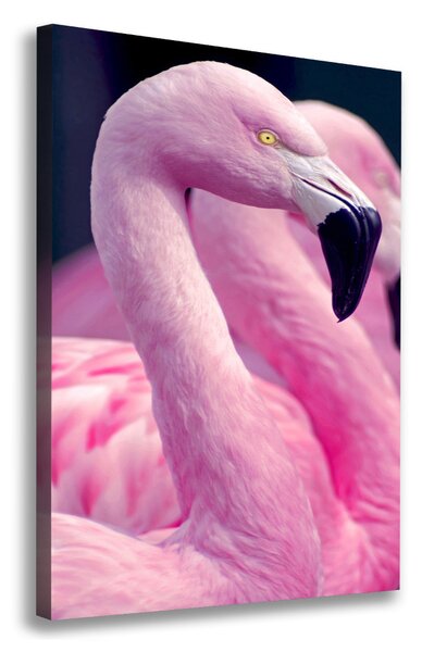 Tablou canvas Flamingos
