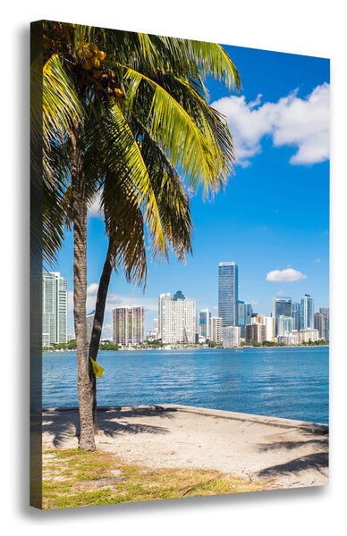 Tablouri tipărite pe pânză Miami