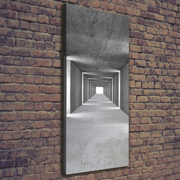 Tablou canvas Tunelul de beton