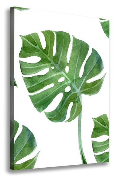 Tablou pe pânză Monstera