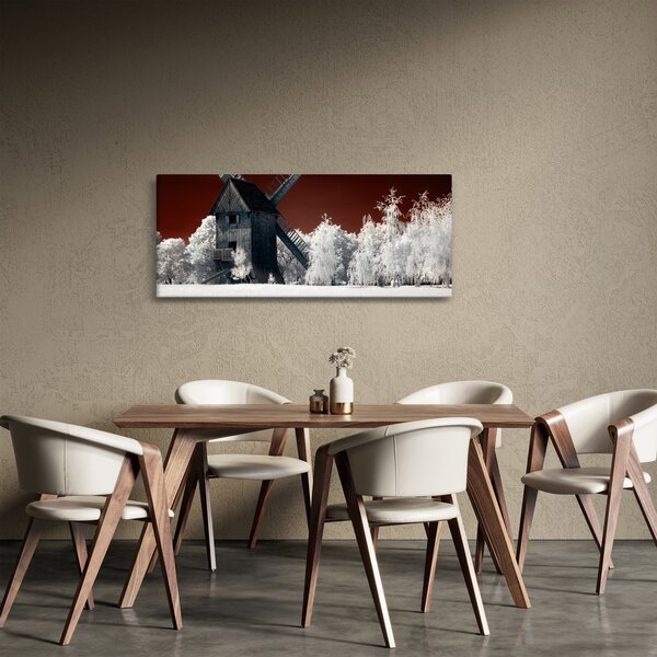 Tablou cu moară (120x50 cm)