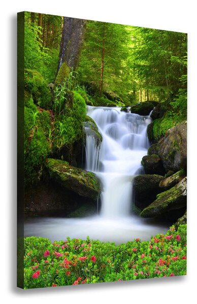 Tablou pe pânză canvas Cascada din pădure