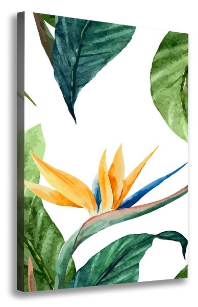 Tablou pe pânză Strelitzia reginae