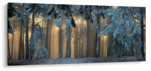 Tablou cu pădure înzăpezită (120x50 cm)