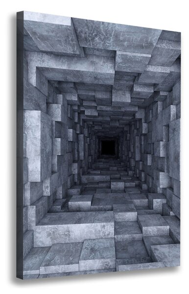 Tablou pe pânză Tunel