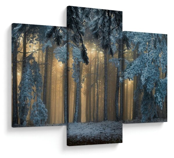 Tablou cu pădure înzăpezită (90x60 cm)