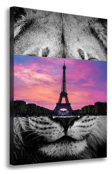 Pictură pe pânză Turnul Eiffel din Paris