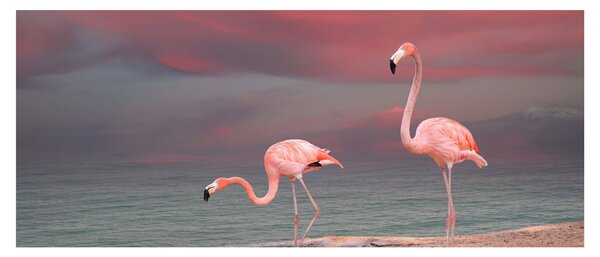 Tablou - Flamingo (120x50 cm)
