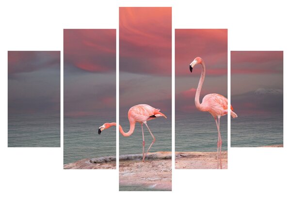 Tablou - Flamingo (150x105 cm)