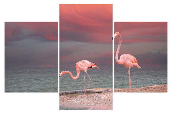 Tablou - Flamingo (90x60 cm)