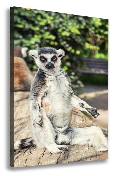 Tablou canvas Lemur