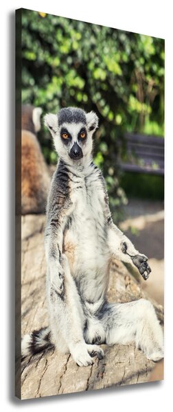 Tablou canvas Lemur
