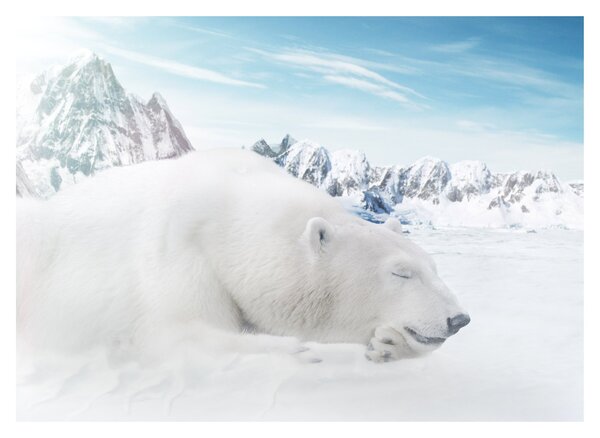 Tablou - Urs polar (70x50 cm)
