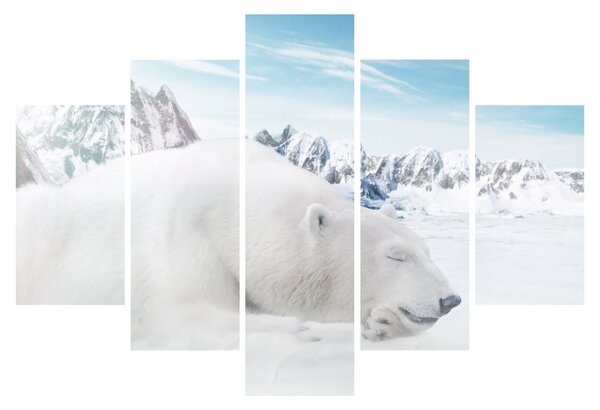 Tablou - Urs polar (150x105 cm)