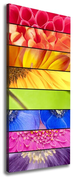 Print pe canvas flori colorate
