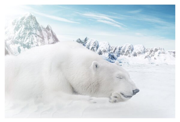 Tablou - Urs polar (90x60 cm)