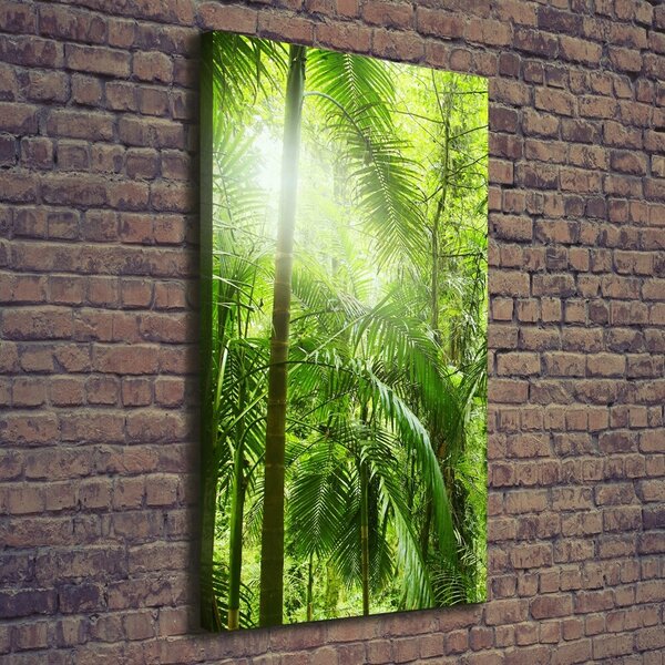 Tablou pe pânză canvas pădurea tropicală