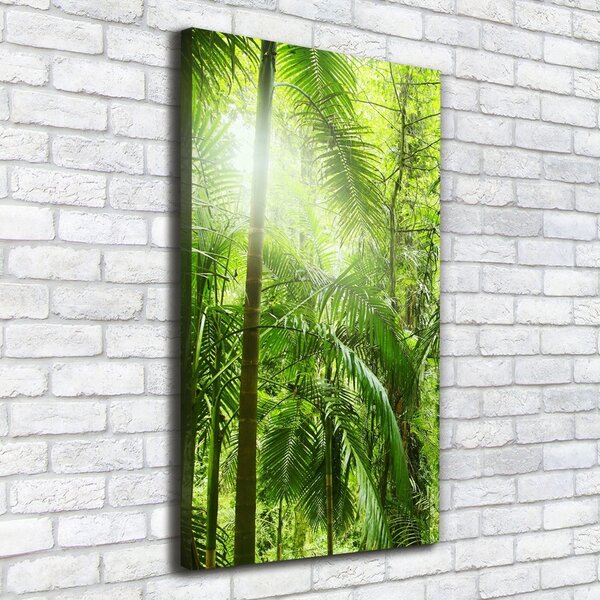 Tablou pe pânză canvas pădurea tropicală