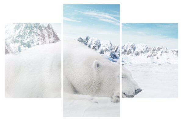 Tablou - Urs polar (90x60 cm)