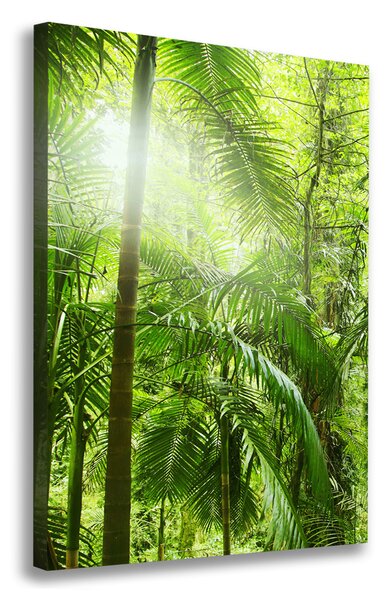 Tablou pe pânză canvas pădurea tropicală