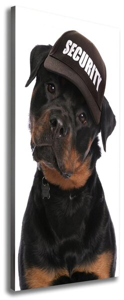 Imprimare tablou canvas Rottweiler într-un capac