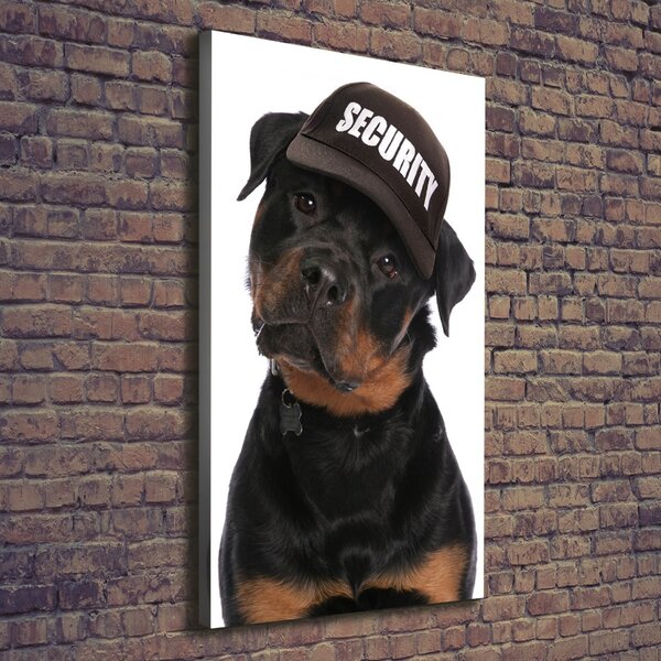Imprimare tablou canvas Rottweiler într-un capac