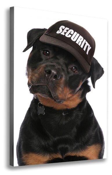 Imprimare tablou canvas Rottweiler într-un capac