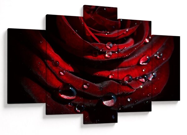 Tablou - Trandafir (150x105 cm)