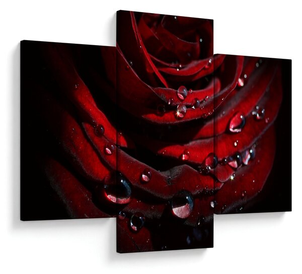 Tablou - Trandafir (90x60 cm)